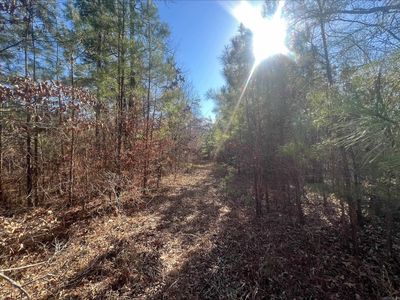 (Undisclosed Address), New Edinburg, AR, 71660