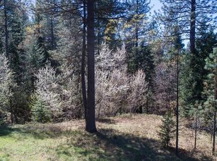 9476 Grizzly Flat Rd, Grizzly Flats, CA 95636