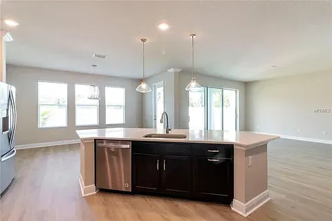 5550 Spanish Moss Cv — Photo 3