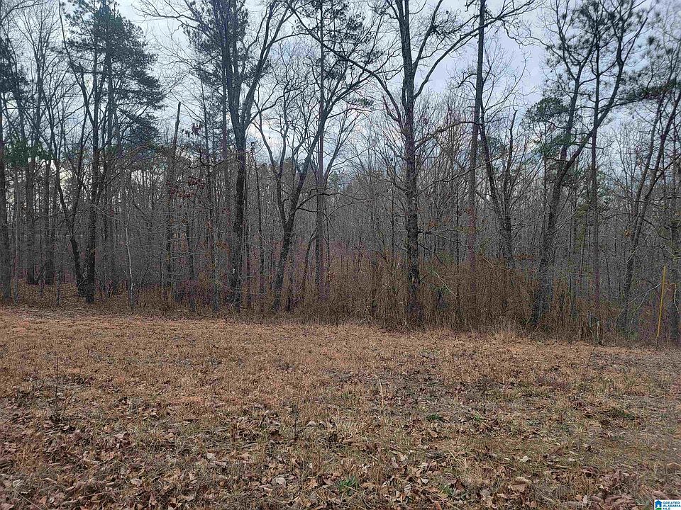 2nd image of 6 County Road 116