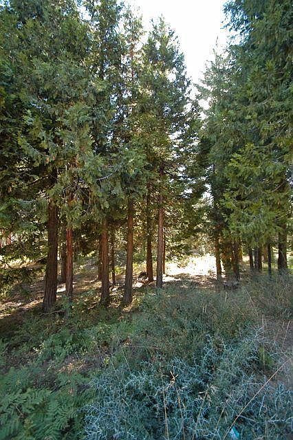 2nd image of Timber Ridge Road Lot 6