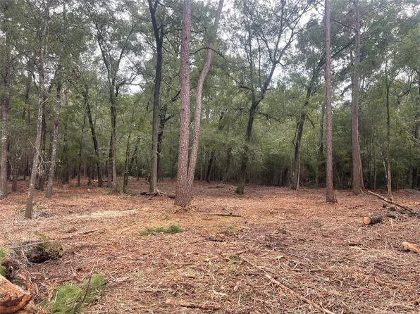 TRACT Mangum Rd #B, Livingston, TX 77351