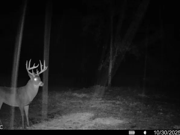 6870 Taylor Rd, Rising Sun, IN 47040