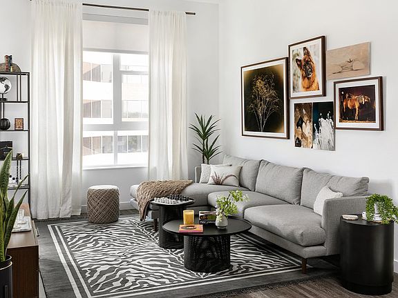 Griffis Cherry Creek North Model Reno-Living Room