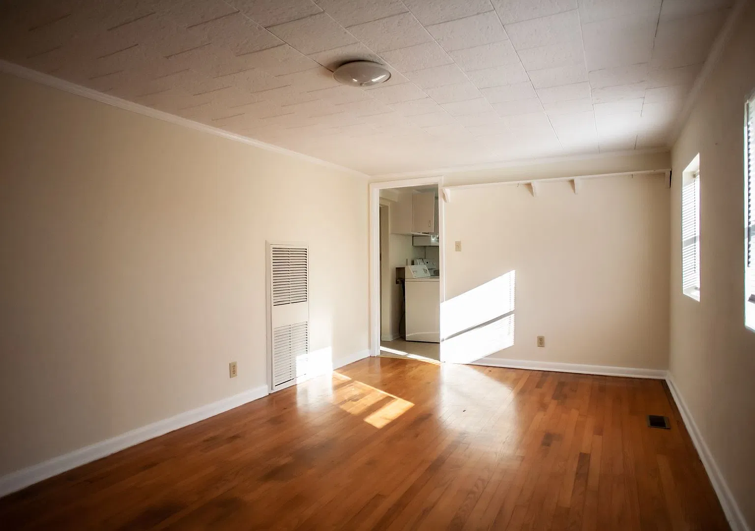 Spacious One Bedroom near UNC Hospitals! — Photo 4
