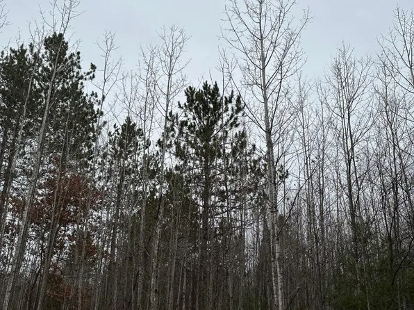 Burrows Lake Rd #4067-G, Tomahawk, WI 54487