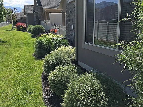 Back of Home Area