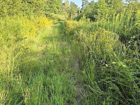 3rd image of 4955 Dailey Store Rd Lot 1