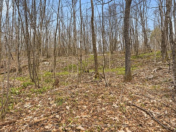 5th image of Point Brady Lake Rd Lot 6