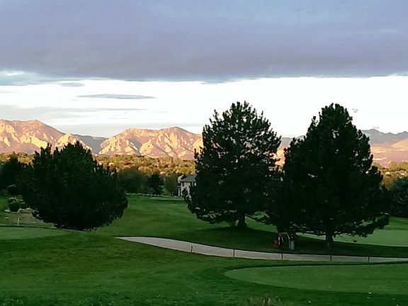 Back yard morning brilliance