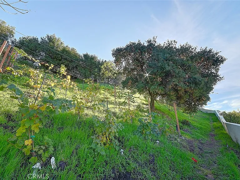 3952 Oakfield Dr — Photo 39