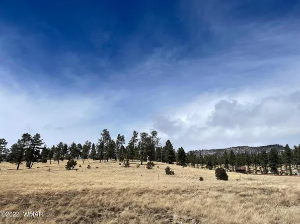27 County Road 2330, Alpine, AZ 85920