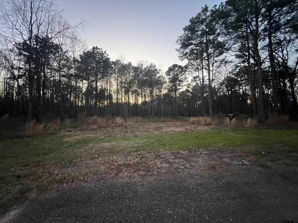 401 County Road 3305, Naples, TX 75568