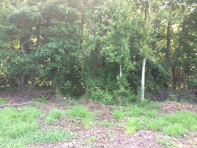 1st image of Leonard Dr Lot 11