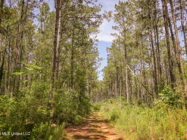 0 Graves Rd, Liberty, MS 39645