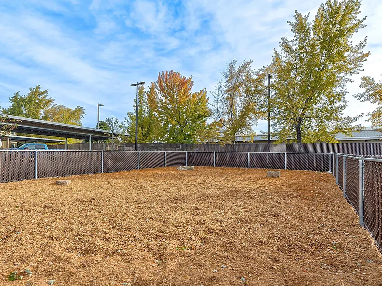 Britta Hills — Photo 17