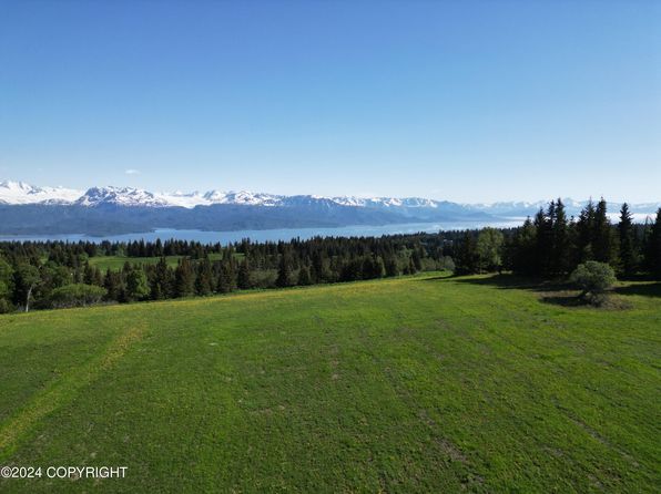 46915 E End Rd, Homer, AK 99603