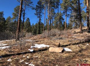 1 Chipmunk Cres, Durango, CO 81301