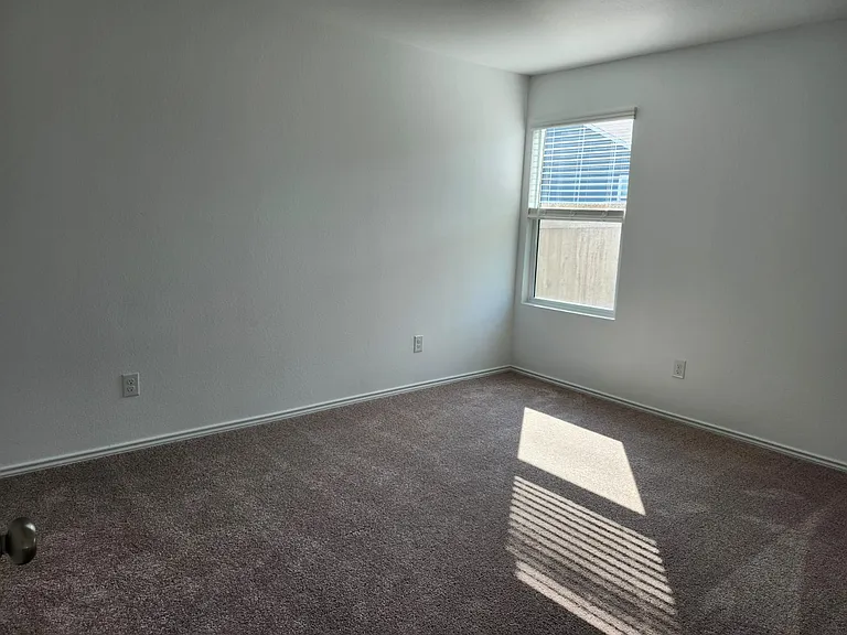178 Northern Pintail Dr — Photo 33