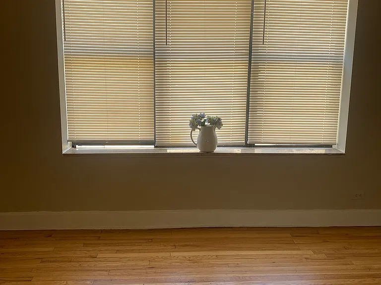 4922 N Kedzie Ave #2W — Photo 4