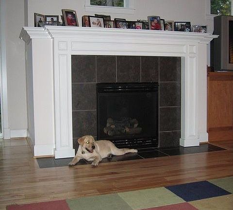 Great Room gas fireplace