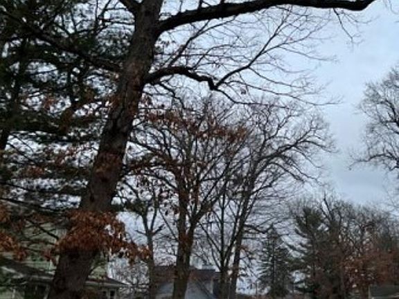 Exterior Neighborhood (street photo)