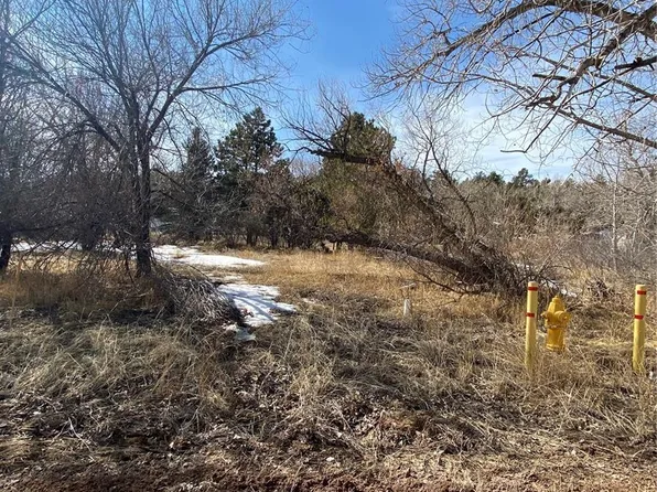 24070 Elbert St, Elbert, CO 80106