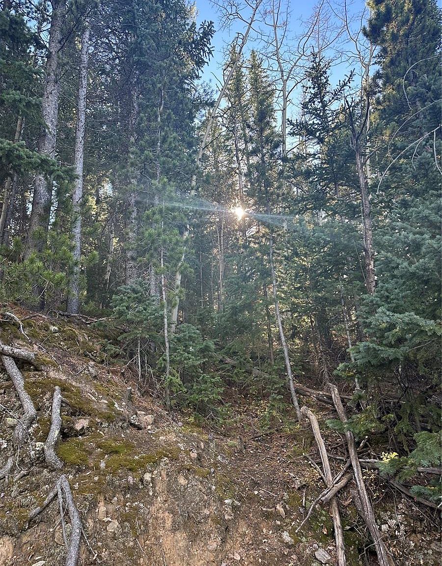 00 Aspenwood Lane, Evergreen, CO 80439 MLS 3099101 Zillow