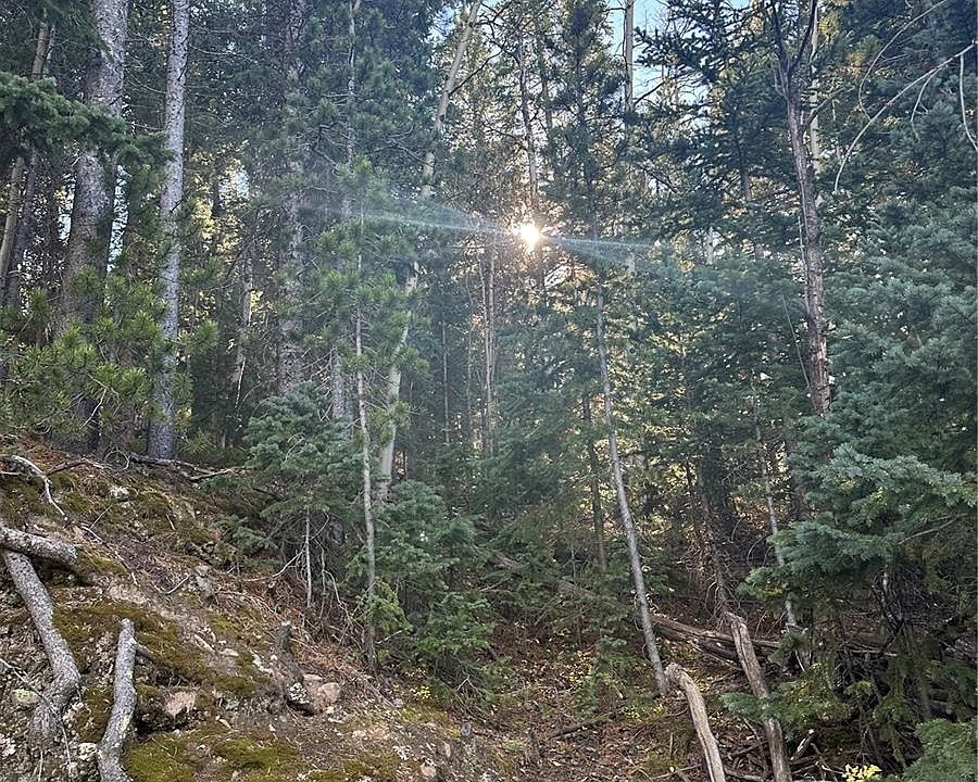 00 Aspenwood Lane, Evergreen, CO 80439 MLS 3099101 Zillow