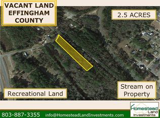 119- N Ga Hwy, Springfield, GA 31329