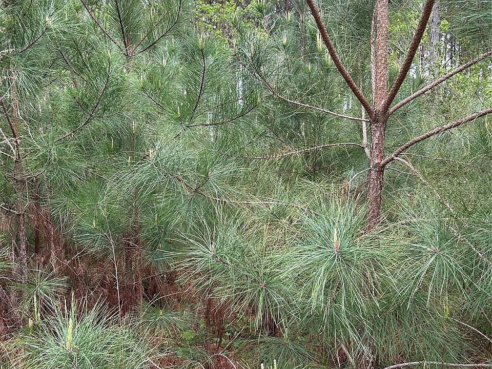 1st image of 267 Road 5102