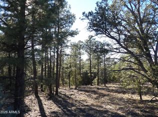 5365 TWIN OAKS Loop #50, Happy Jack, AZ 86024