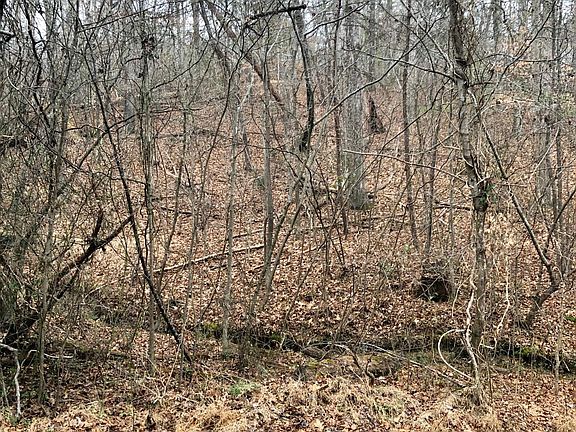 3rd image of 0 Mountain Cir #45