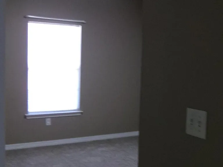 7322 Mangum Dr #7322 — Photo 15