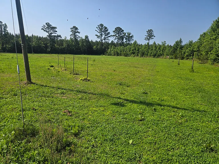 570 Little Fork Rd — Photo 15