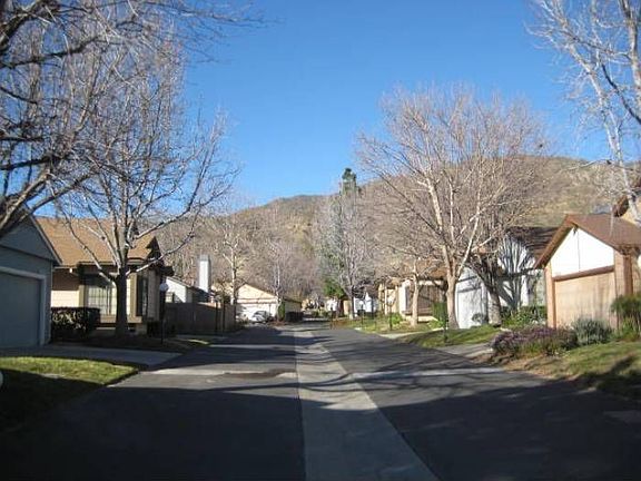Tree lined street