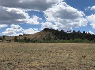 8218 Chicha Rd, Hartsel, CO 80449