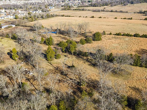 3rd image of 341 Stones River Ln