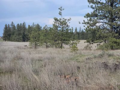 23510B S Malloy Prairie Rd, Cheney, WA, 99004