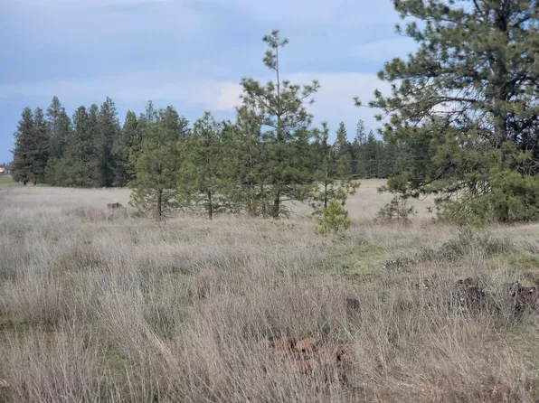 23510B S Malloy Prairie Rd, Cheney, WA 99004