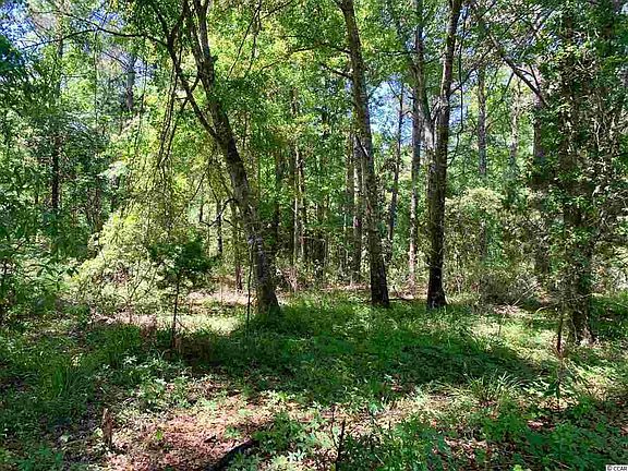 3rd image of 50 Monarch Ct. Lot 149