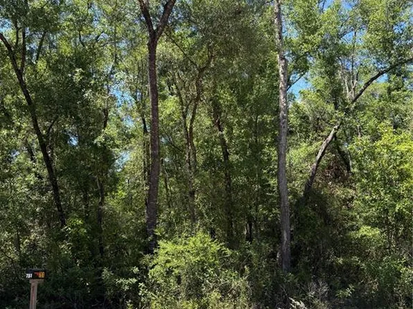 0 NE 7th Pl Lot 4, Williston, FL 32696