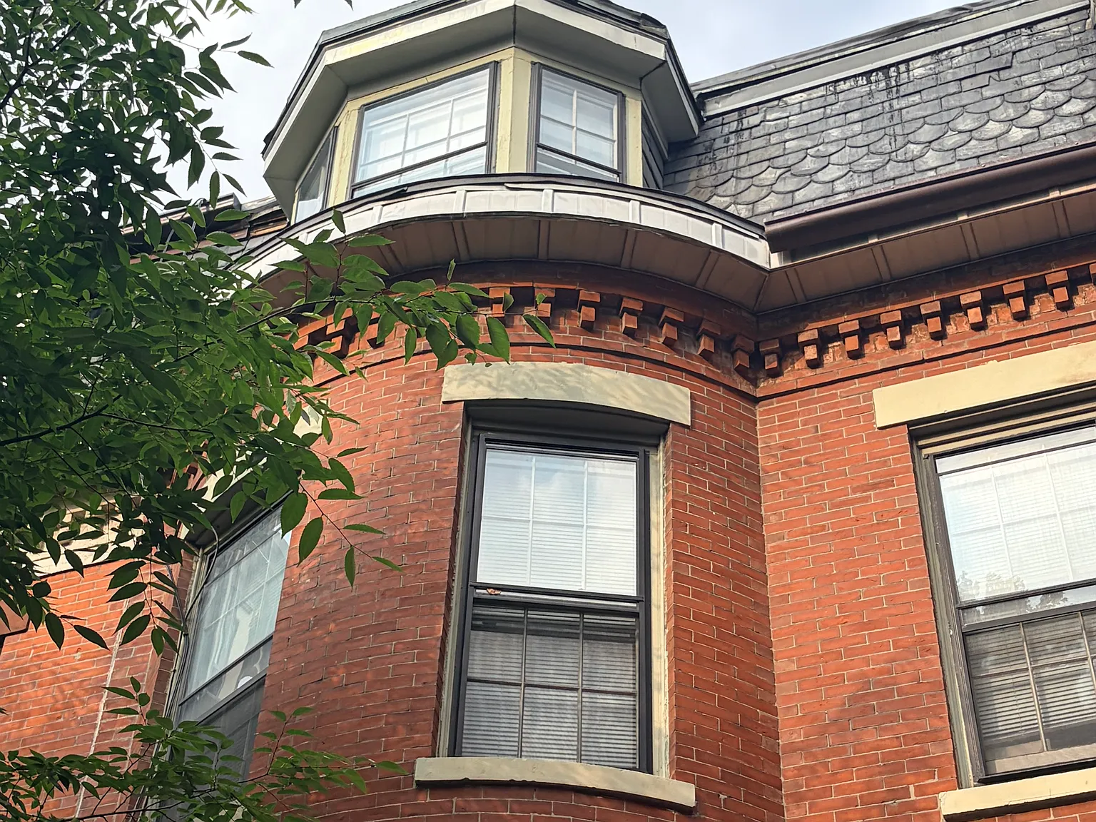 1 bed, 650 sqft, $3,575 — Photo 4