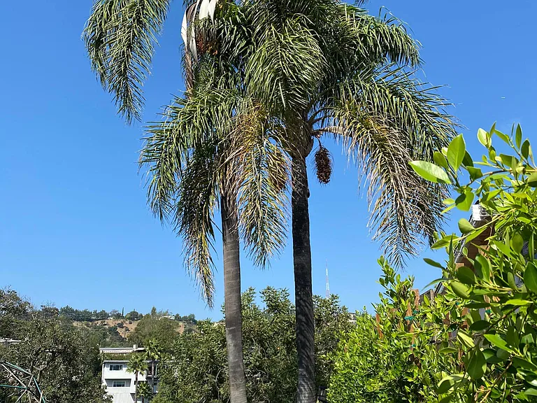 Ridgemont Dr — Photo 12