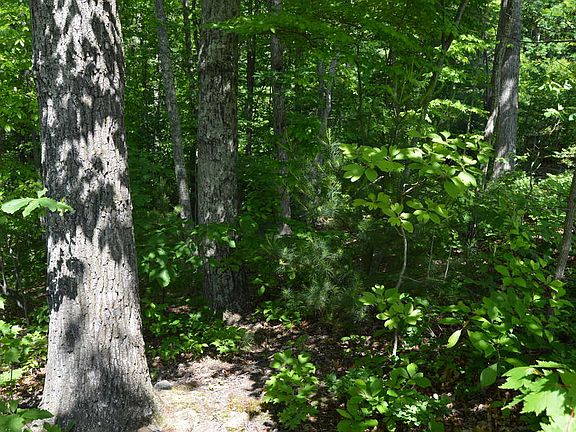 5th image of 2 Samuel Ashe Dr