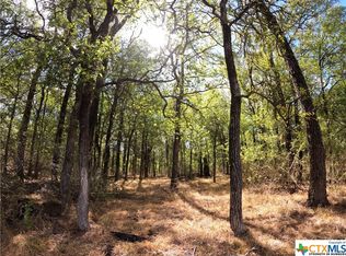 Rosanky Rd TRACT 6, Holland, TX 76534