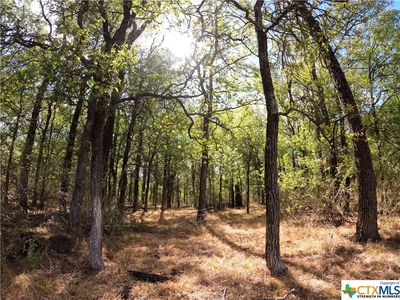 Rosanky Rd Tract 6, Holland, TX, 76534