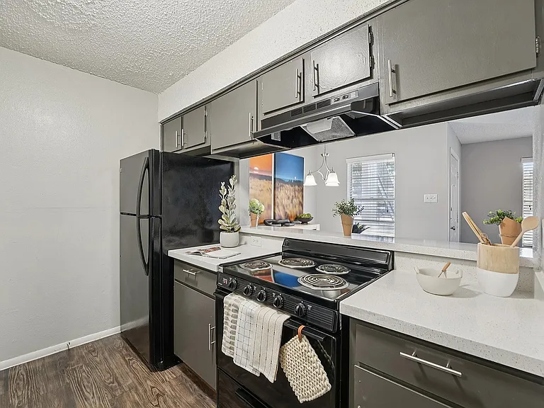 Stylish Modern Kitchen with Dark Cabinetry in Waco Apartments