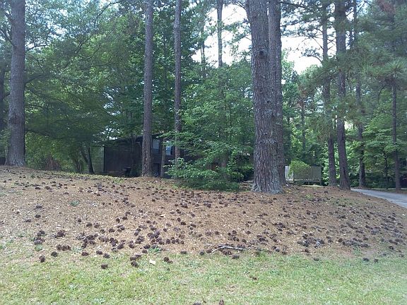 2nd image of 595 Ponderosa Ct