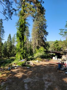 10638 N Bloomfield Rd, Nevada City, CA, 95959